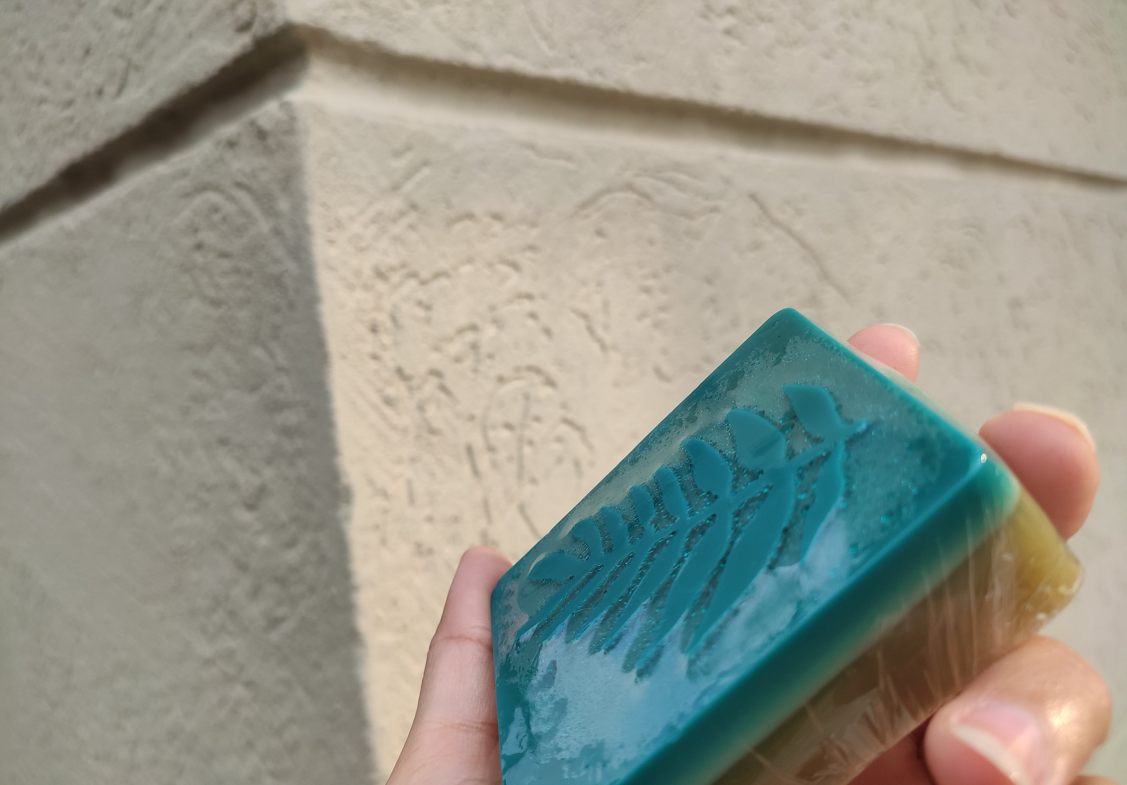 Neem and Mint Soap – 100gm