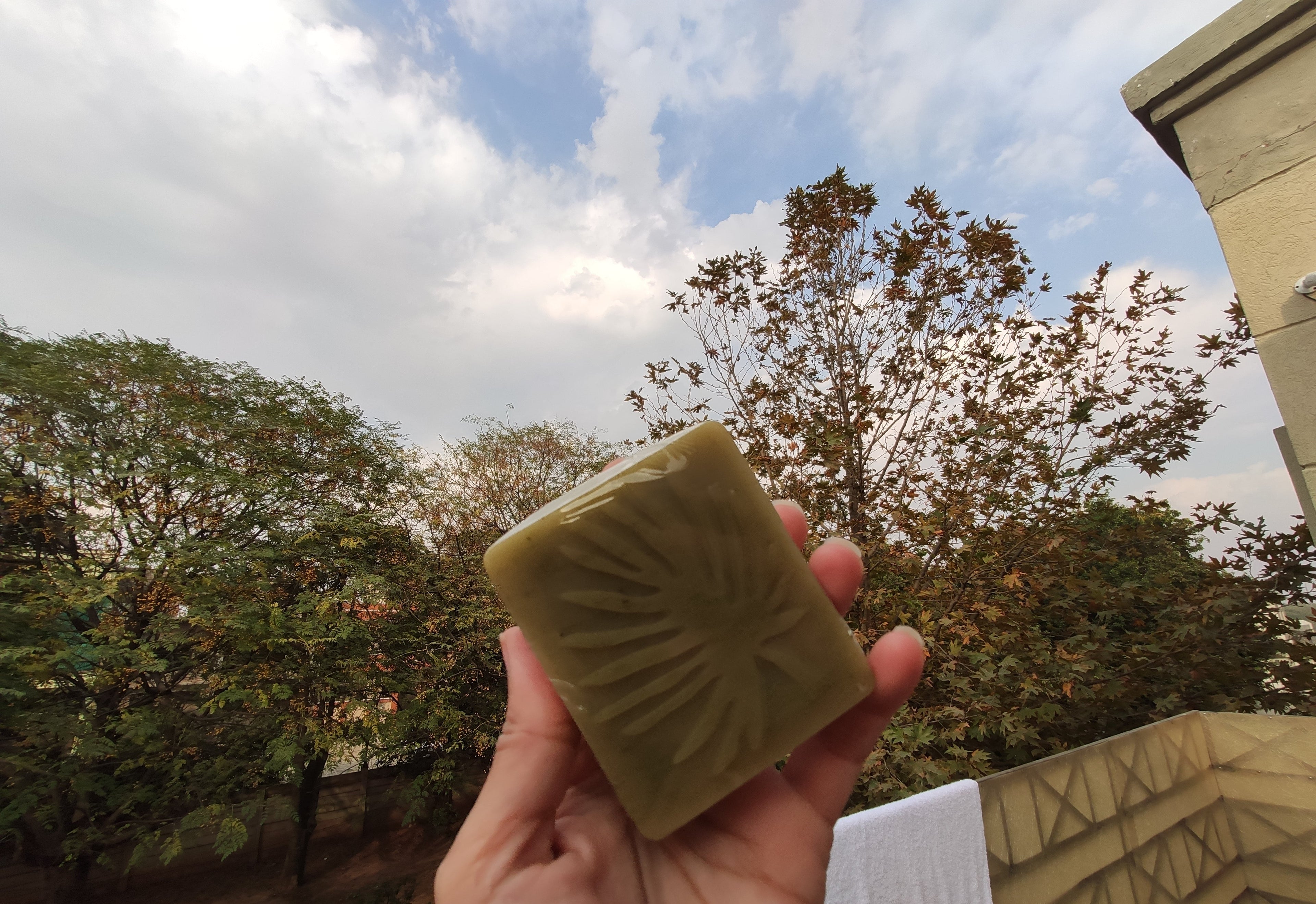 Neem and Mint Soap – 100gm