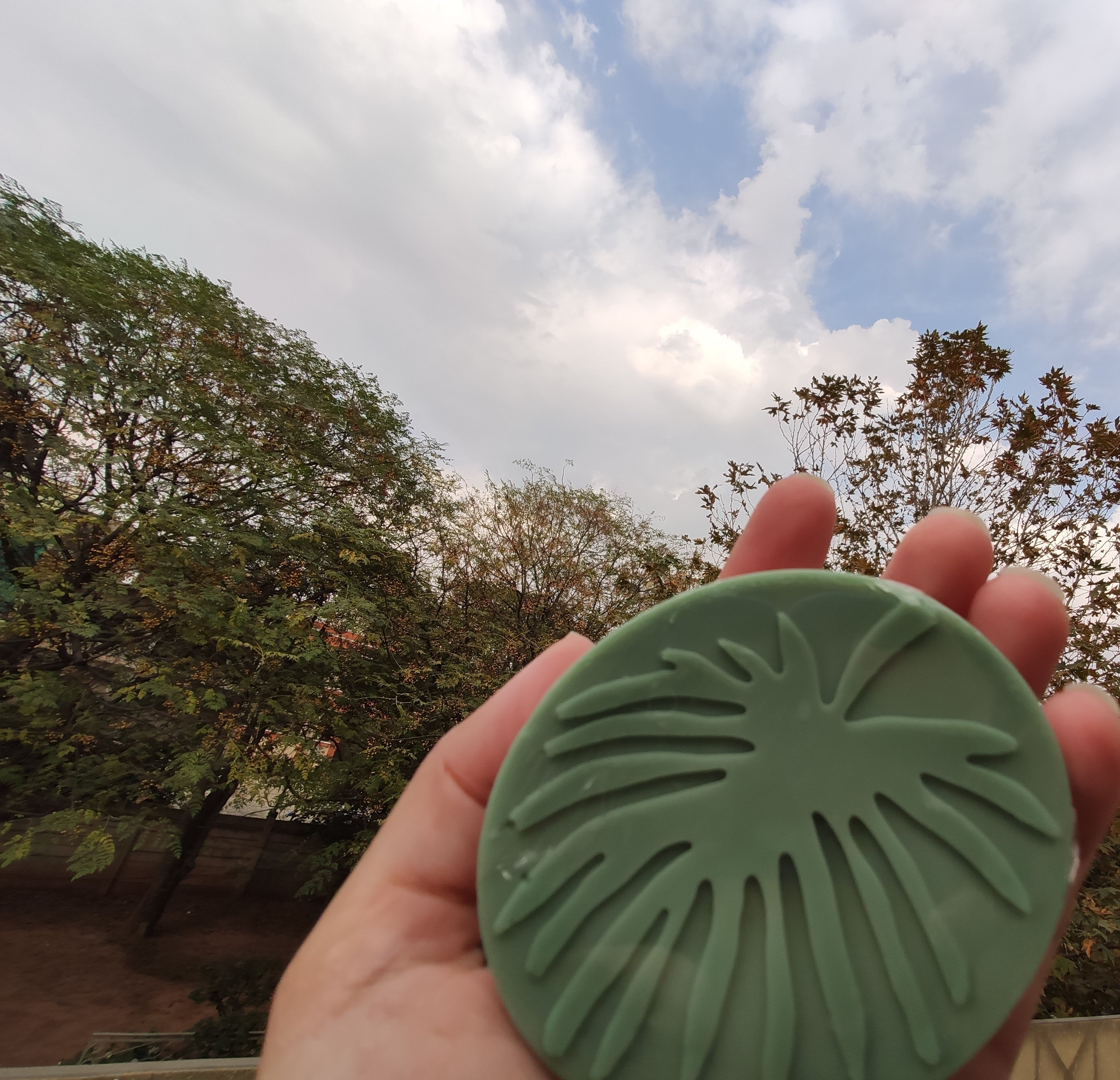 Neem and Mint Soap – 100gm
