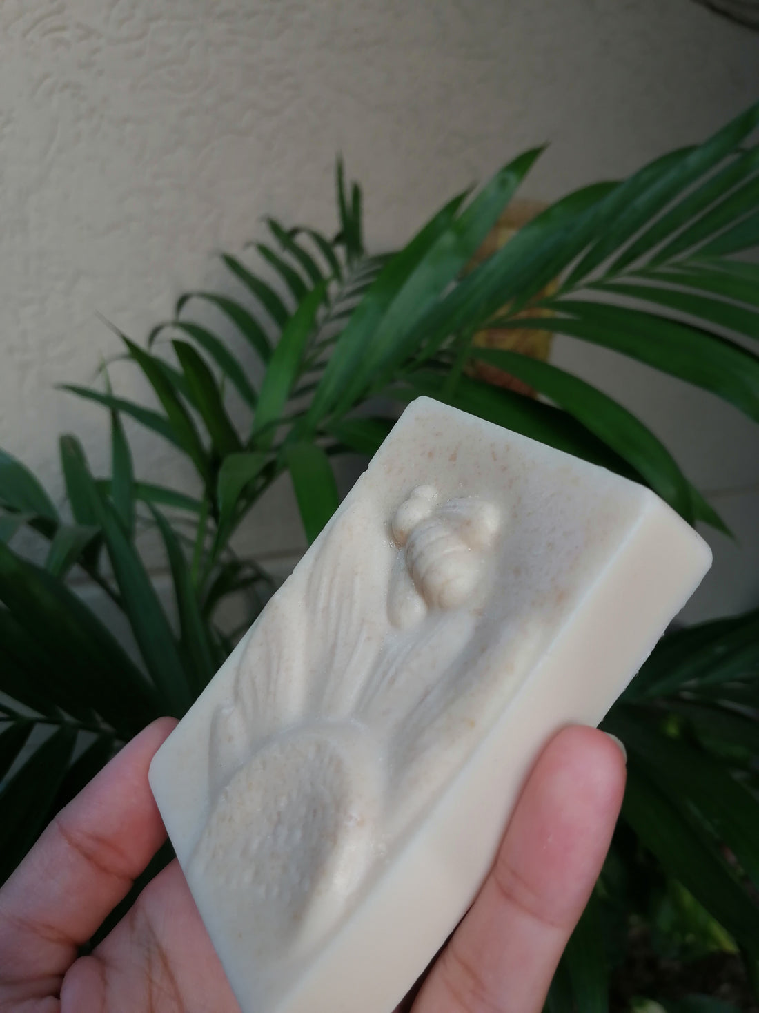 Rice and Goat Milk Soap - 100gm