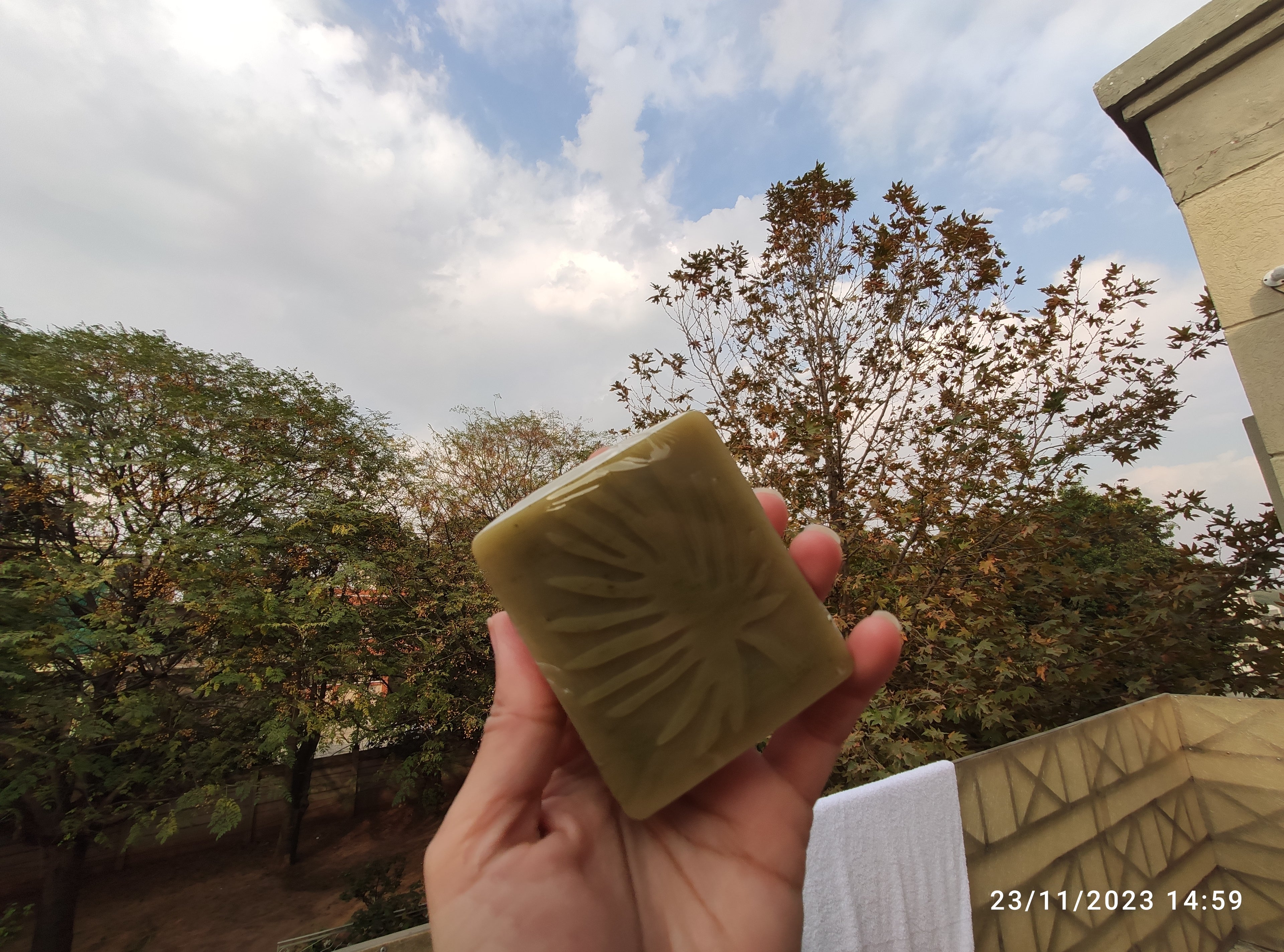 Neem and Mint Soap