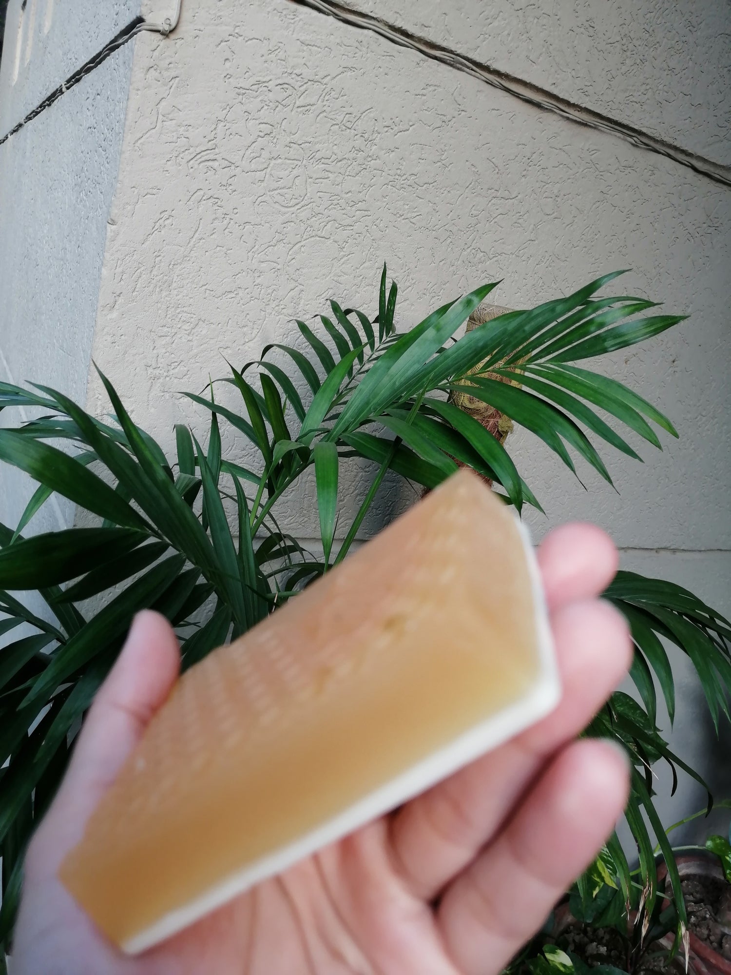 Almond and Honey Soap