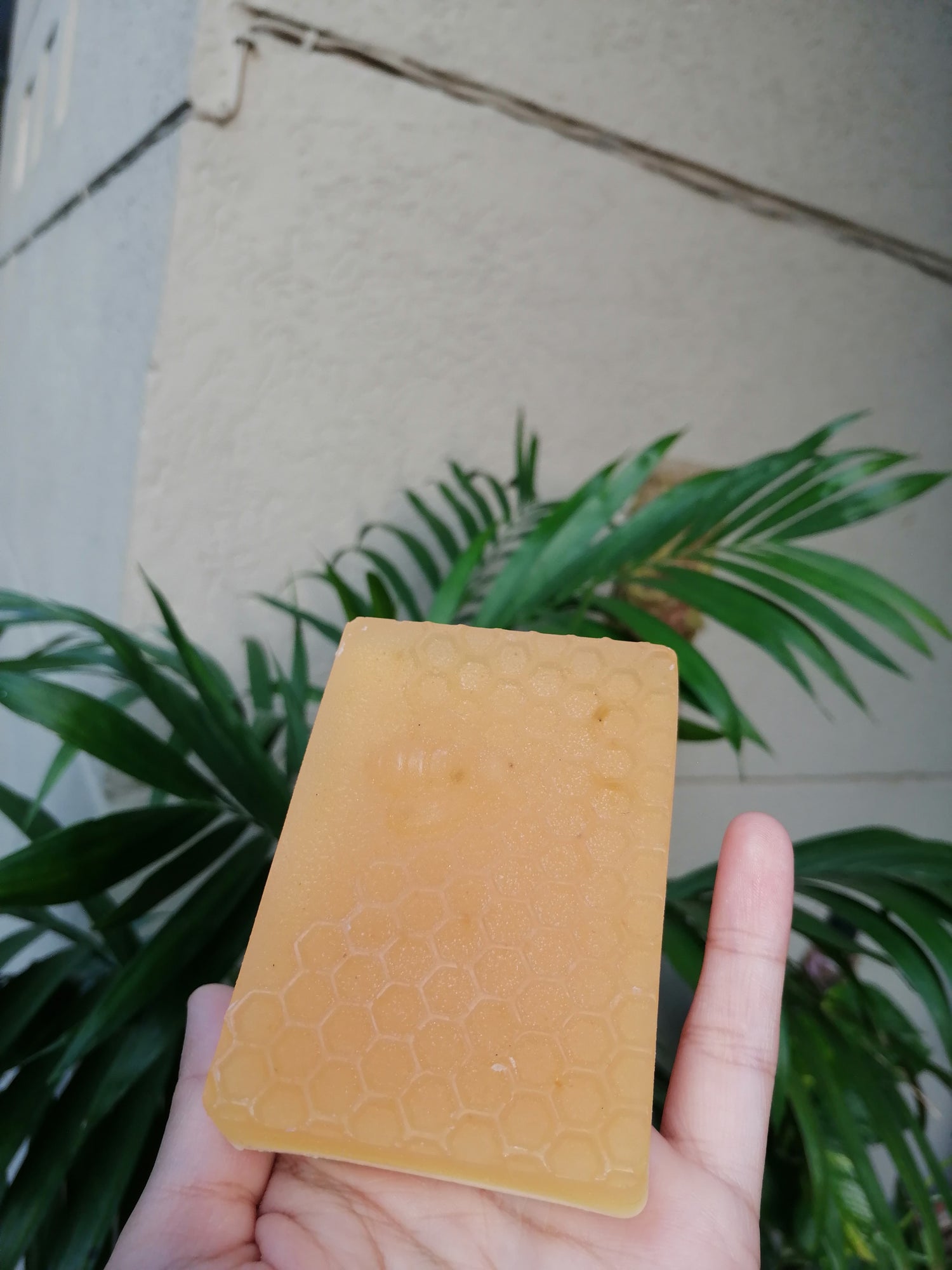 Almond and Honey Soap