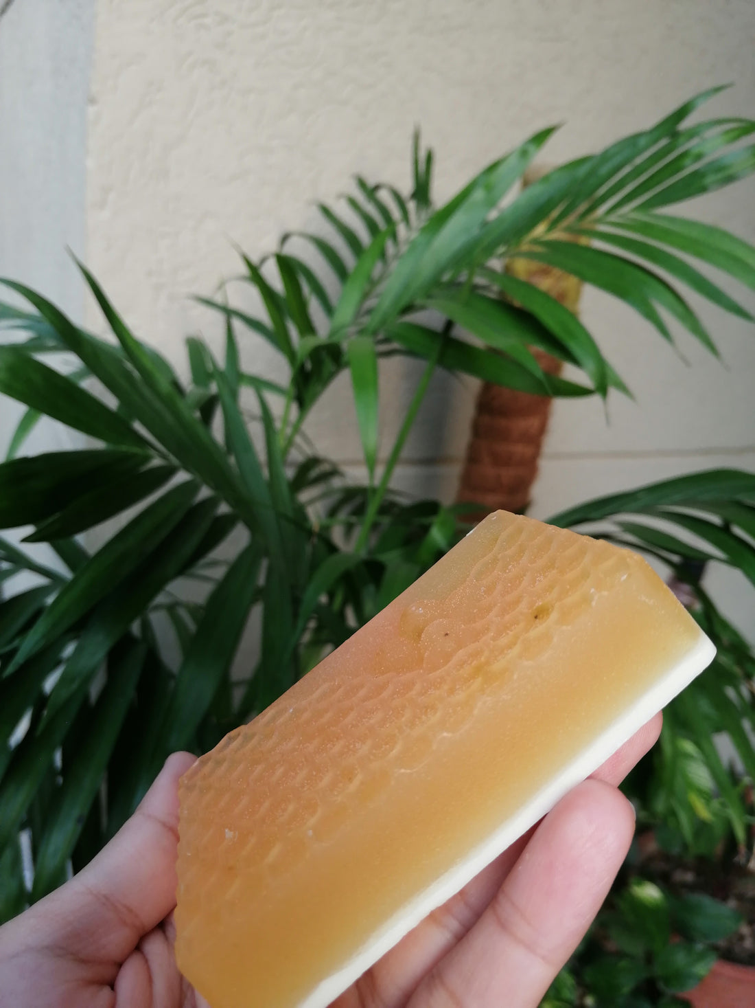 Almond and Honey Soap